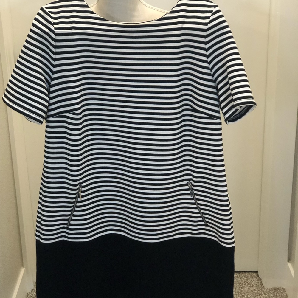Wallis Dress size 14 NWT - Picture 4 of 10
